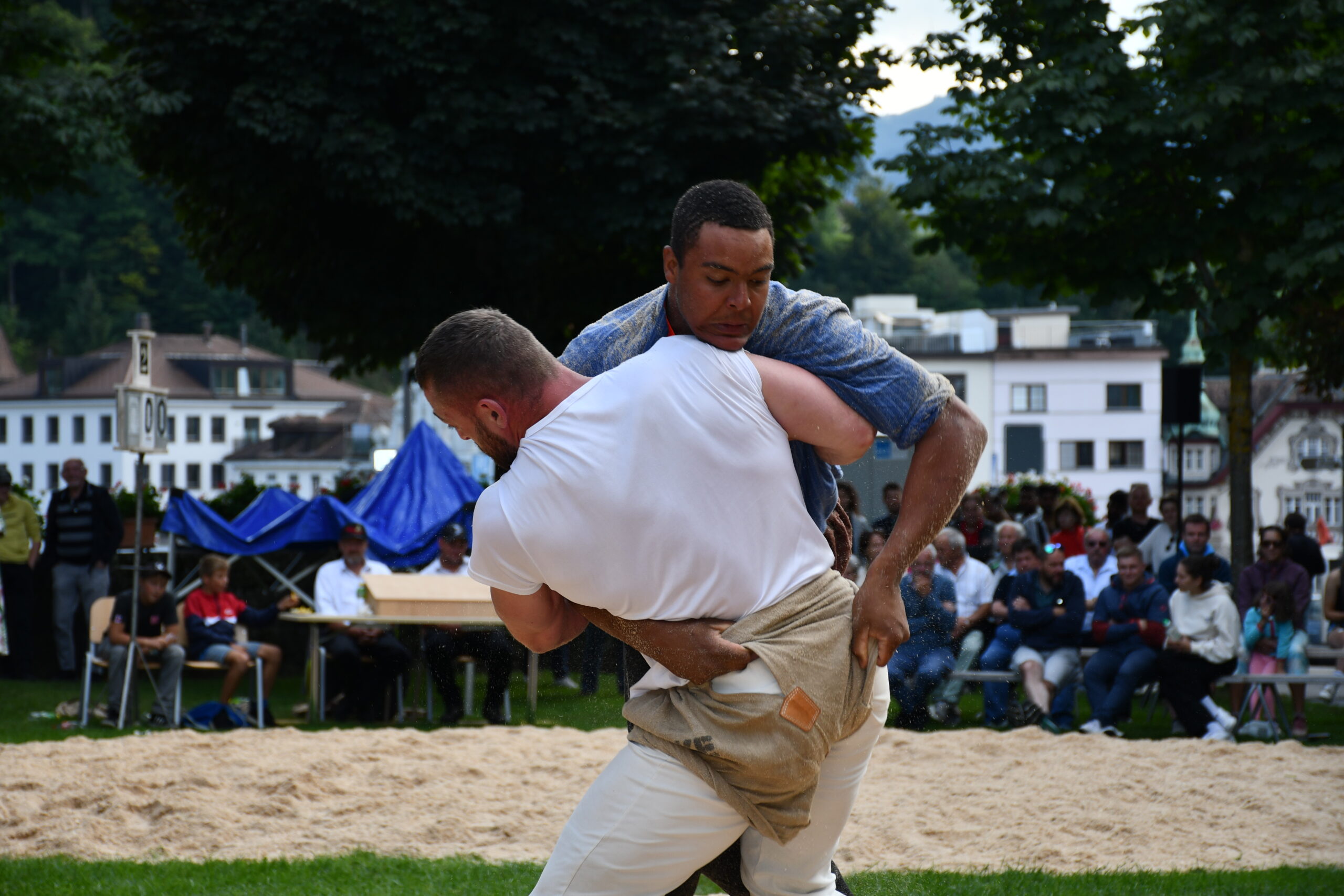DSC_6446